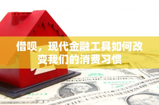 山东借呗，现代金融工具如何改变我们的消费习惯