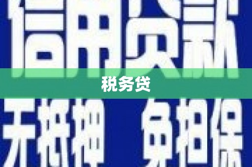 山东税务贷