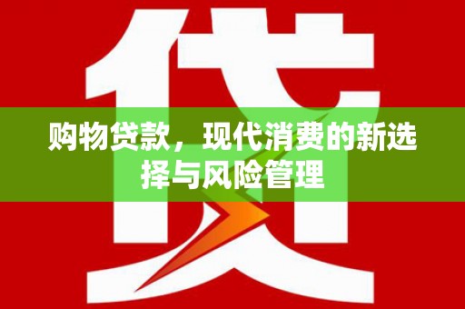 山东购物贷款，现代消费的新选择与风险管理
