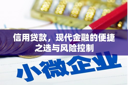 山东信用贷款，现代金融的便捷之选与风险控制