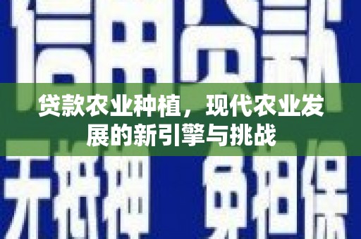 山东贷款农业种植，现代农业发展的新引擎与挑战