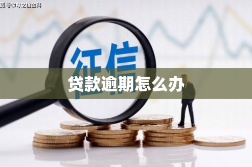 山东贷款逾期怎么办