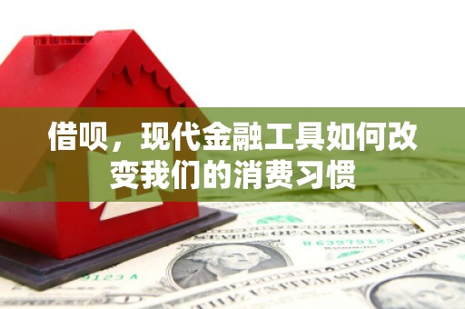 山东借呗，现代金融工具如何改变我们的消费习惯