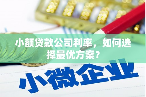 山东小额贷款公司利率，如何选择最优方案？