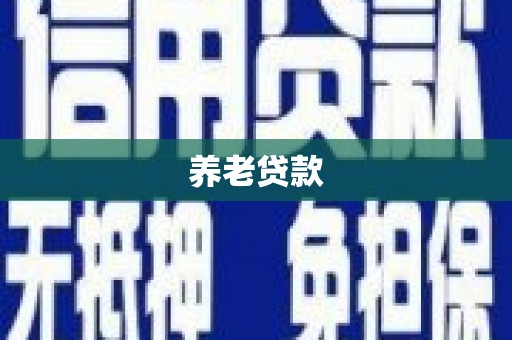 山东养老贷款
