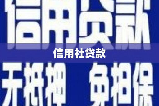 山东信用社贷款