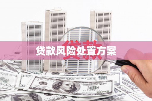 山东贷款风险处置方案