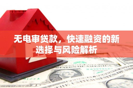 山东无电审贷款，快速融资的新选择与风险解析