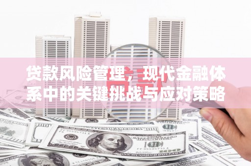 山东贷款风险管理，现代金融体系中的关键挑战与应对策略