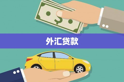山东外汇贷款