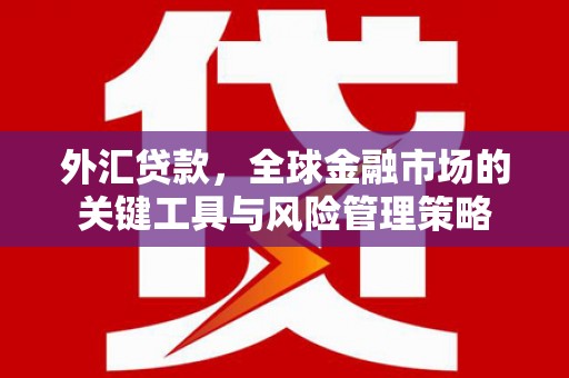山东外汇贷款，全球金融市场的关键工具与风险管理策略