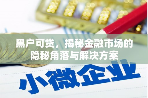 山东黑户可贷，揭秘金融市场的隐秘角落与解决方案