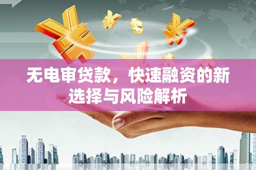 山东无电审贷款，快速融资的新选择与风险解析