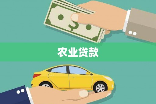 山东农业贷款
