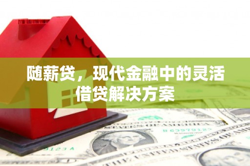 山东随薪贷，现代金融中的灵活借贷解决方案