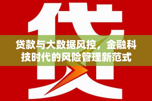 山东贷款与大数据风控，金融科技时代的风险管理新范式