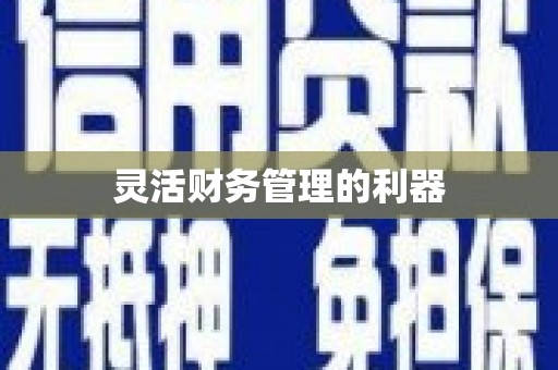 山东灵活财务管理的利器