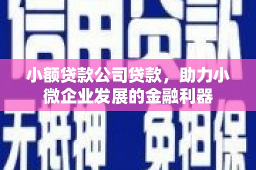 山东小额贷款公司贷款，助力小微企业发展的金融利器