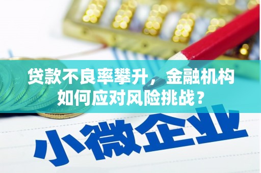 山东贷款不良率攀升，金融机构如何应对风险挑战？