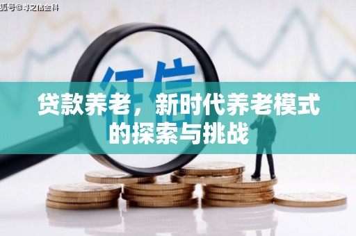 山东贷款养老，新时代养老模式的探索与挑战