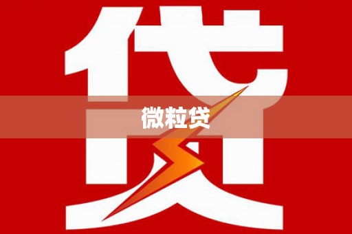 山东微粒贷