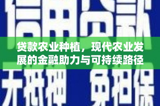 山东贷款农业种植，现代农业发展的金融助力与可持续路径