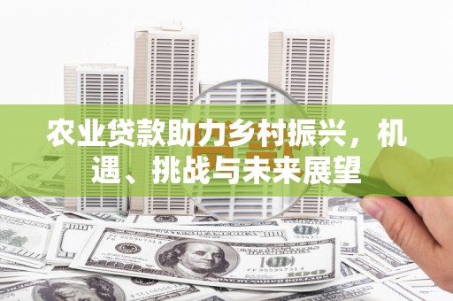 山东农业贷款助力乡村振兴，机遇、挑战与未来展望