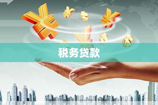 山东税务贷款