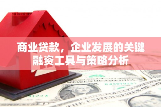 山东商业贷款，企业发展的关键融资工具与策略分析