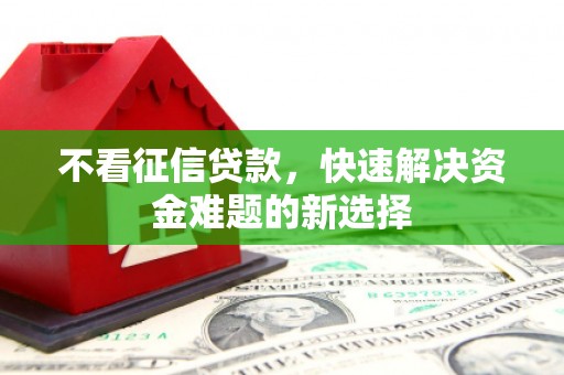山东不看征信贷款，快速解决资金难题的新选择