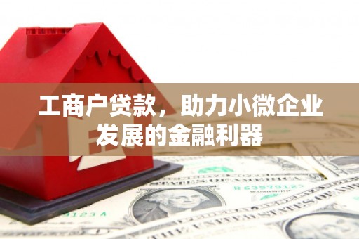 山东工商户贷款，助力小微企业发展的金融利器