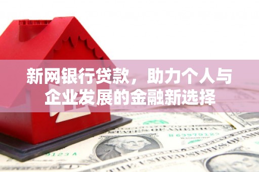 山东新网银行贷款，助力个人与企业发展的金融新选择