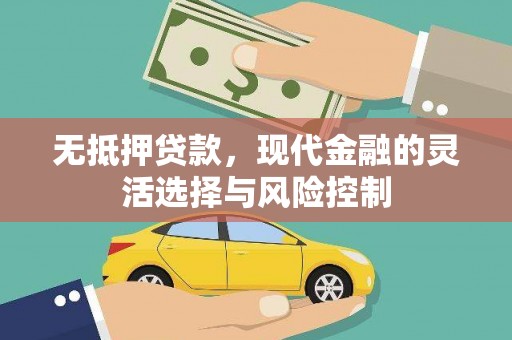 山东无抵押贷款，现代金融的灵活选择与风险控制