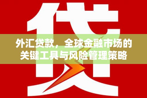 山东外汇贷款，全球金融市场的关键工具与风险管理策略