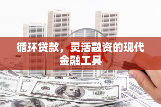 山东循环贷款，灵活融资的现代金融工具