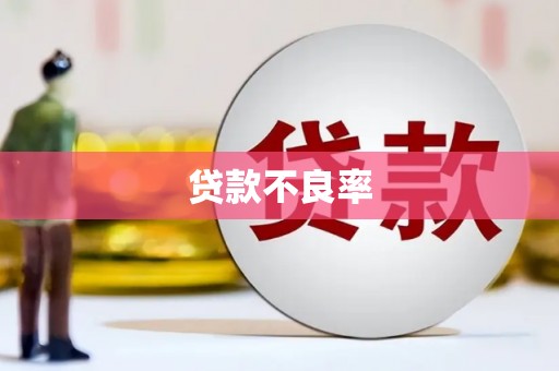 山东贷款不良率