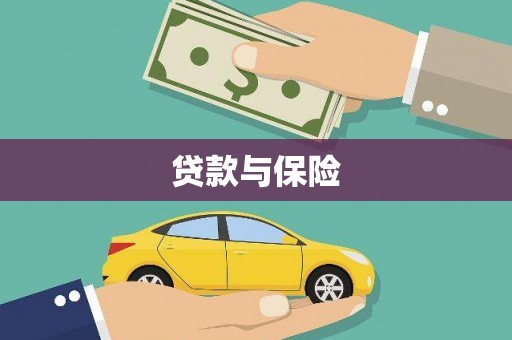 山东贷款与保险