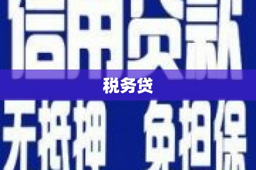 山东税务贷