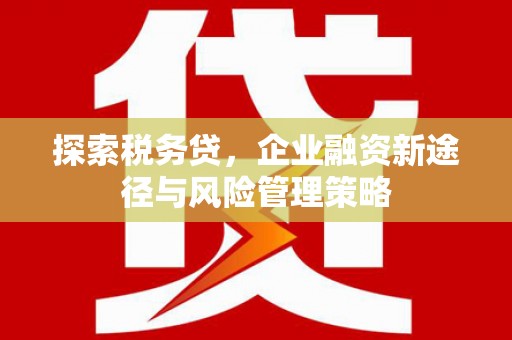 山东探索税务贷，企业融资新途径与风险管理策略