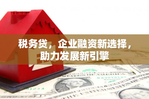山东税务贷，企业融资新选择，助力发展新引擎