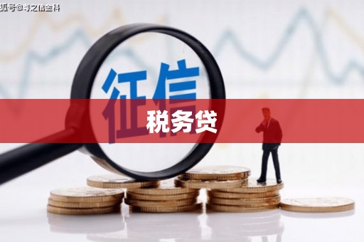 山东税务贷