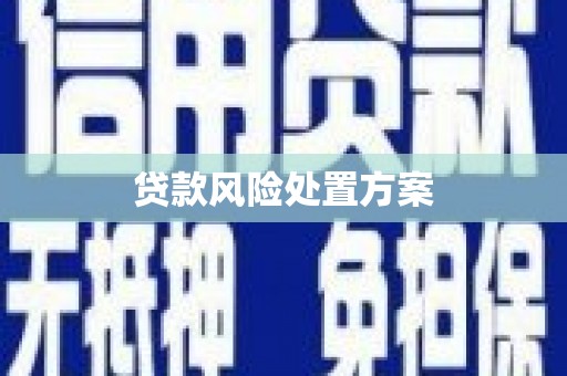 山东贷款风险处置方案
