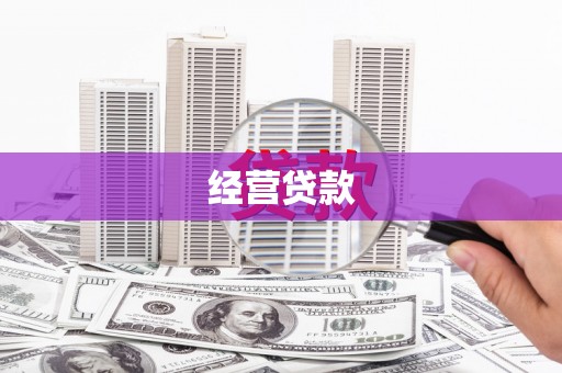 山东经营贷款