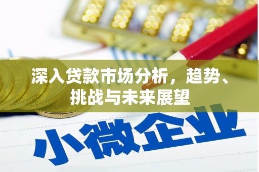 山东深入贷款市场分析，趋势、挑战与未来展望