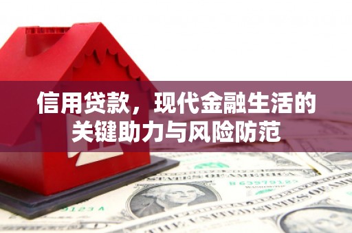 山东信用贷款，现代金融生活的关键助力与风险防范