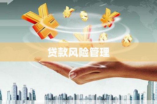 山东贷款风险管理