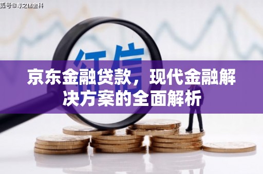 山东京东金融贷款，现代金融解决方案的全面解析