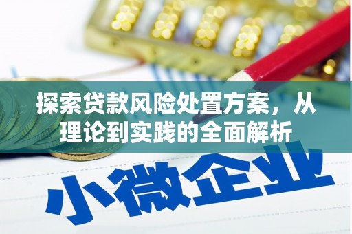 山东探索贷款风险处置方案，从理论到实践的全面解析
