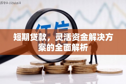 山东短期贷款，灵活资金解决方案的全面解析