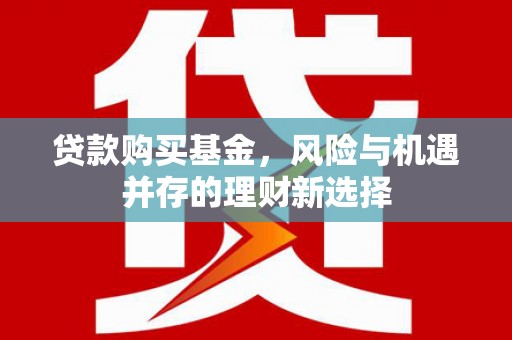 山东贷款购买基金，风险与机遇并存的理财新选择